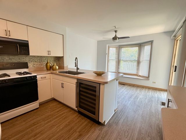 9513 Washington Avenue, Morton Grove, IL 60053