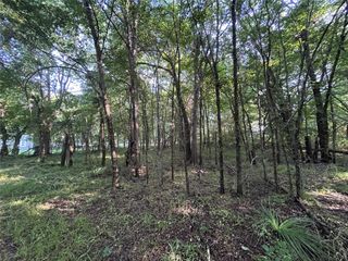 1586 FM 2324, Emory, TX 75440