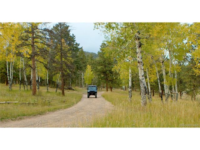 12464 S US Hwy 285, Conifer, CO 80433