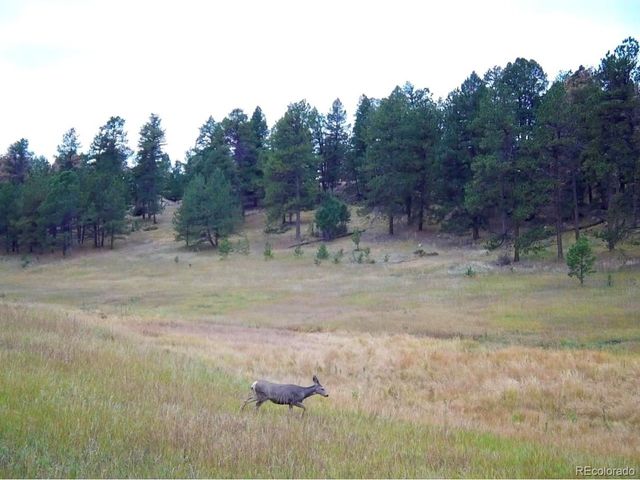 12464 S US Hwy 285, Conifer, CO 80433