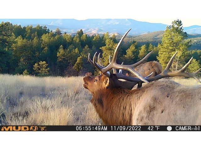 12464 S US Hwy 285, Conifer, CO 80433