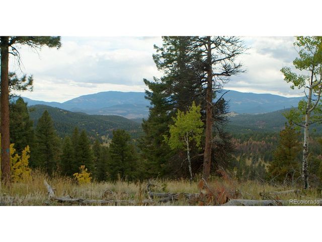 12464 S US Hwy 285, Conifer, CO 80433