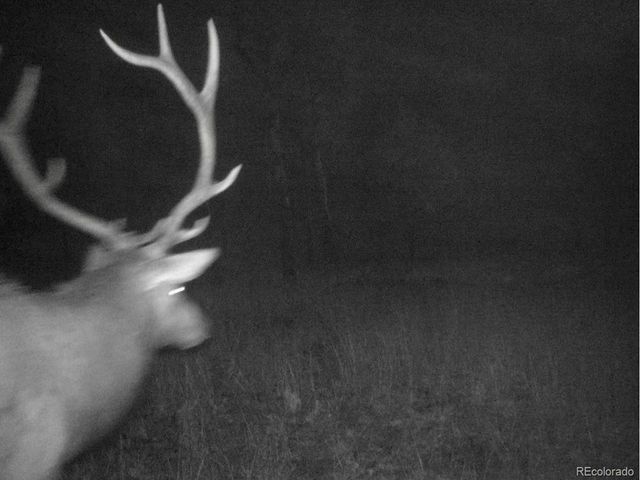 12464 S US Hwy 285, Conifer, CO 80433