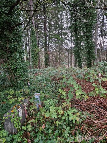 323 NE Barbara Boulevard, Belfair, WA 98528