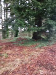 323 NE Barbara Boulevard, Belfair, WA 98528