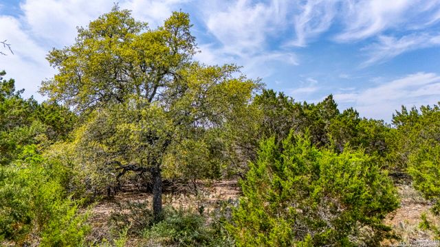 264 San Salvadore, Canyon Lake, TX 78133