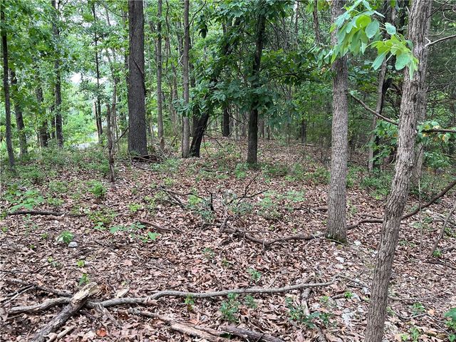 Lot 30, Block 2 Annabell Lane, Bella Vista, AR 72715