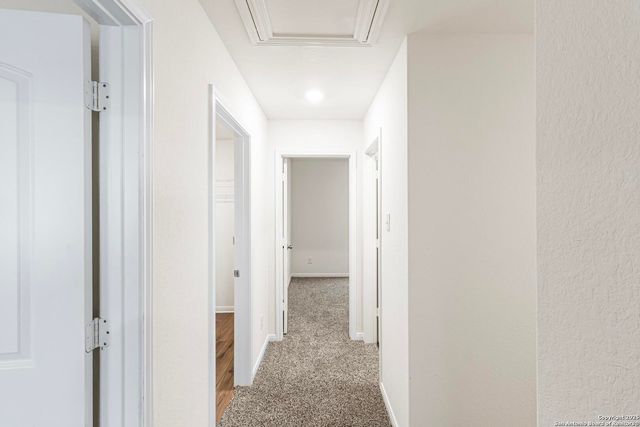 6503 Thorpe Hollow, Converse, TX 78109