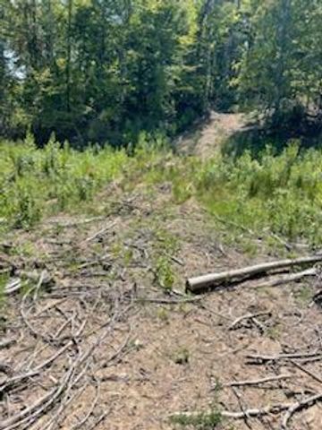 2220 Ruritan Road, Harriman, TN 37748