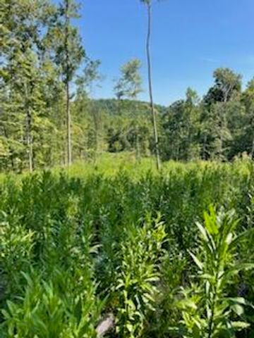 2220 Ruritan Road, Harriman, TN 37748