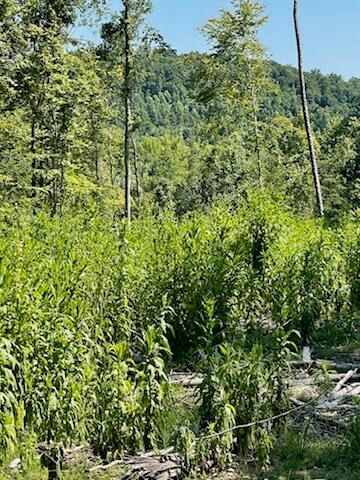 2220 Ruritan Road, Harriman, TN 37748