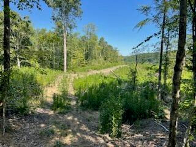 2220 Ruritan Road, Harriman, TN 37748