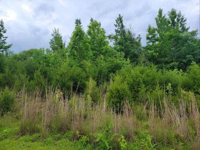 2220 Ruritan Road, Harriman, TN 37748