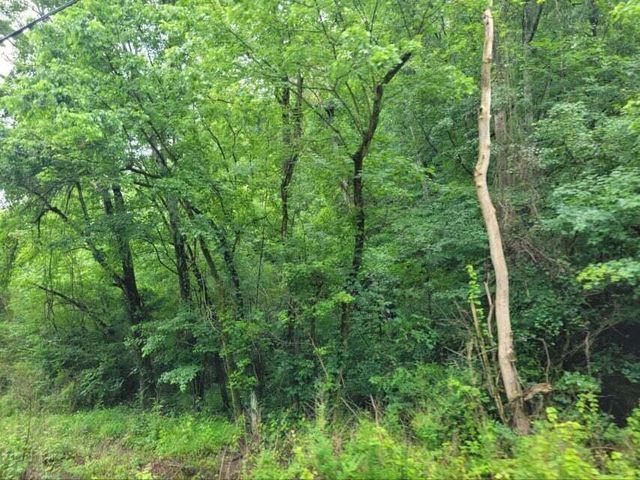 2220 Ruritan Road, Harriman, TN 37748