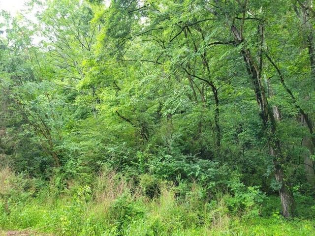 2220 Ruritan Road, Harriman, TN 37748