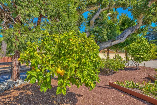 1239 Josselyn Canyon Road, Monterey, CA 93940