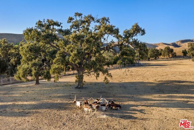 1750 Rambling Oaks Road, Santa Ynez, CA 93460