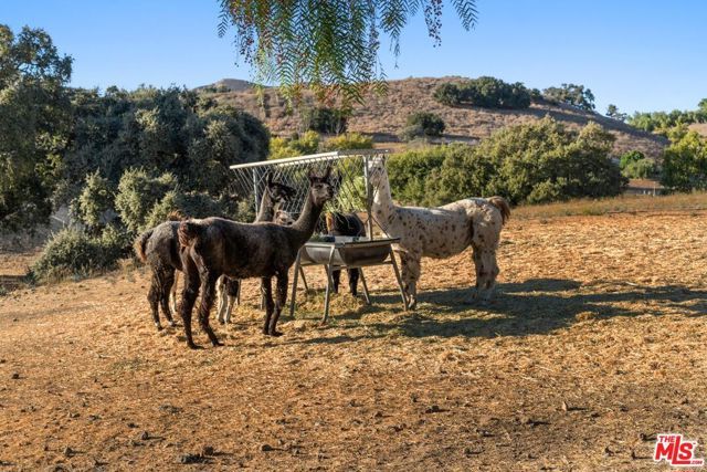 1750 Rambling Oaks Road, Santa Ynez, CA 93460