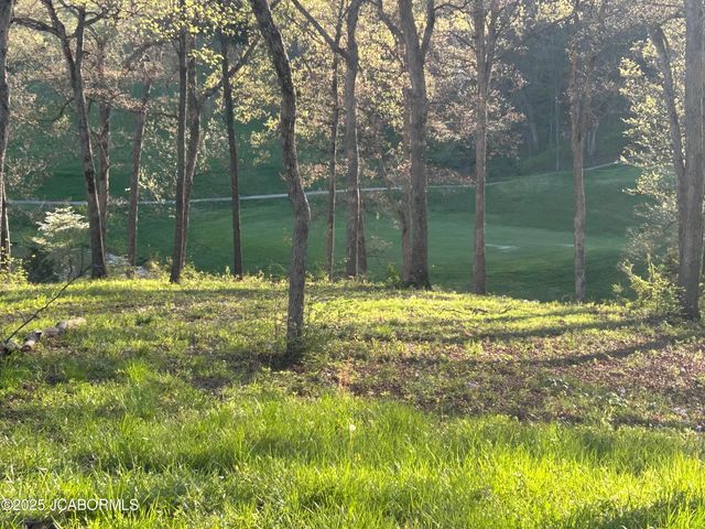 LOT 10 BIRDIE HILL ROAD, Holts Summit, MO 65043