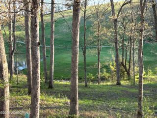 LOT 10 BIRDIE HILL ROAD, Holts Summit, MO 65043