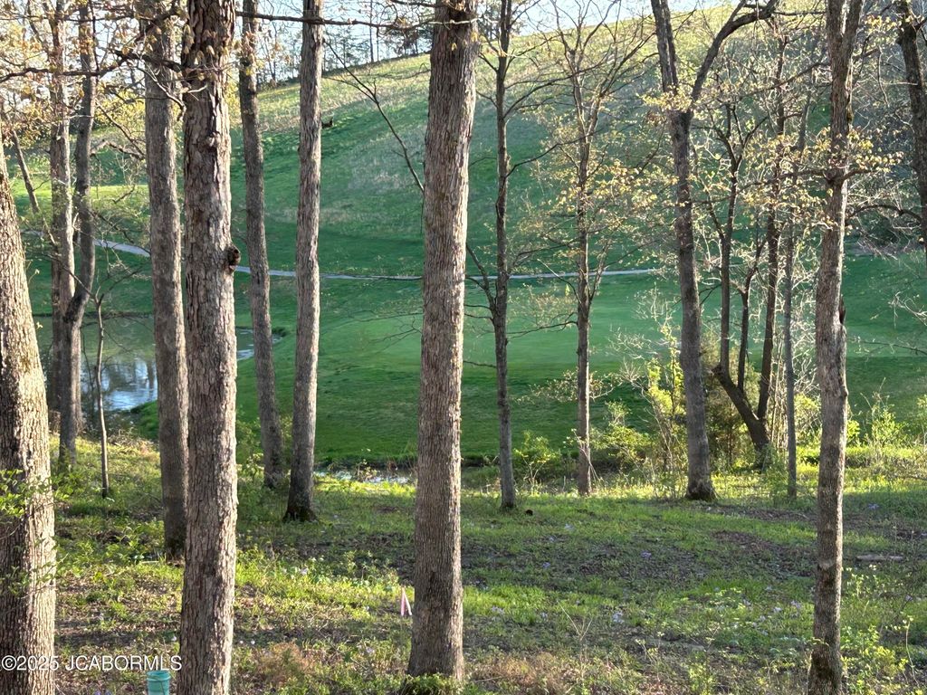 LOT 10 BIRDIE HILL ROAD, Holts Summit, MO 65043