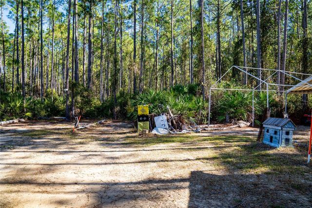 132 NUTMEG TRAIL, Interlachen, FL 32148