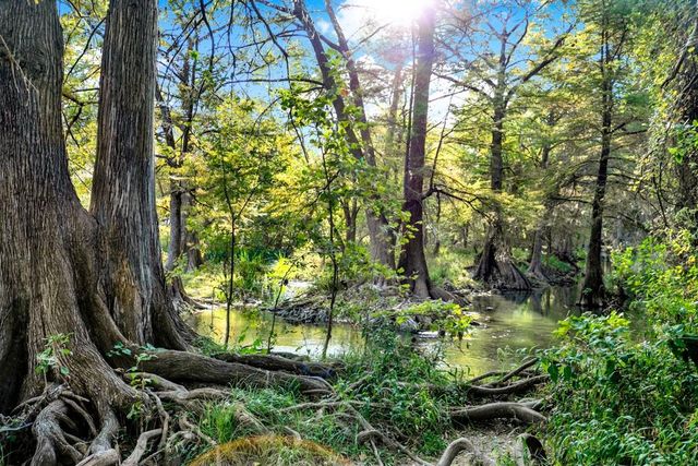 730 E Mather ST B101, New Braunfels, TX 78130