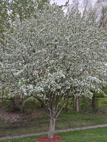 2130 Langston Lane NE, Saint Michael, MN 55376