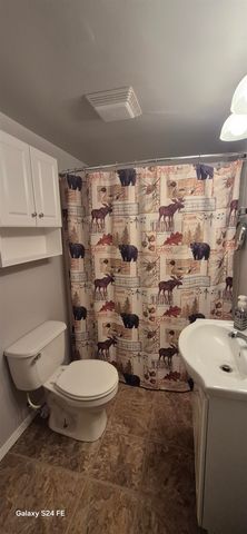 1334 Denton Creek Road, Beaverton, MI 48612