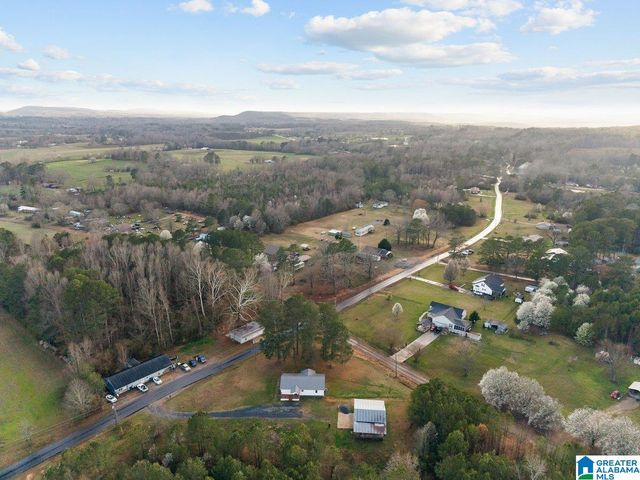 407 WILSON CHAPEL ROAD, Oneonta, AL 35121