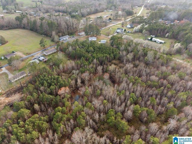 407 WILSON CHAPEL ROAD, Oneonta, AL 35121