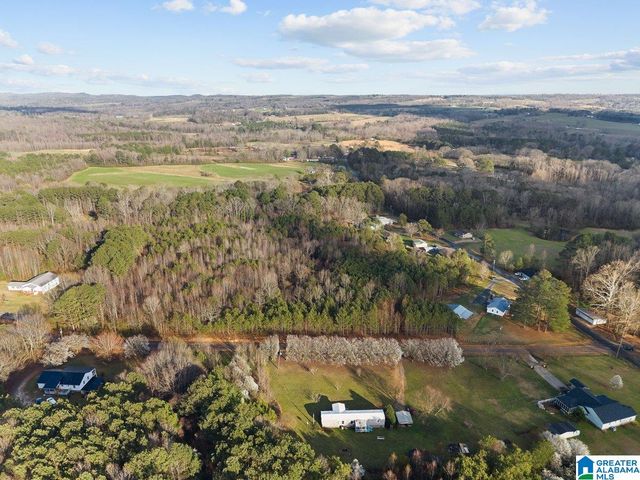 407 WILSON CHAPEL ROAD, Oneonta, AL 35121