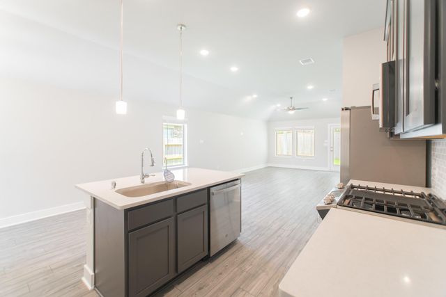 10696 Wild Chives, Conroe, TX 77385