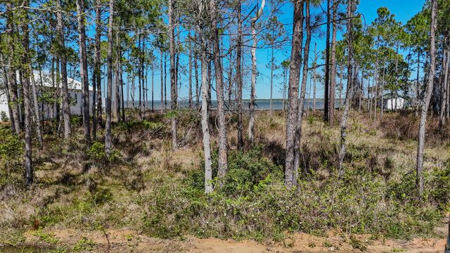 24 Woodland Bayou Drive, Santa Rosa Beach, FL 32459