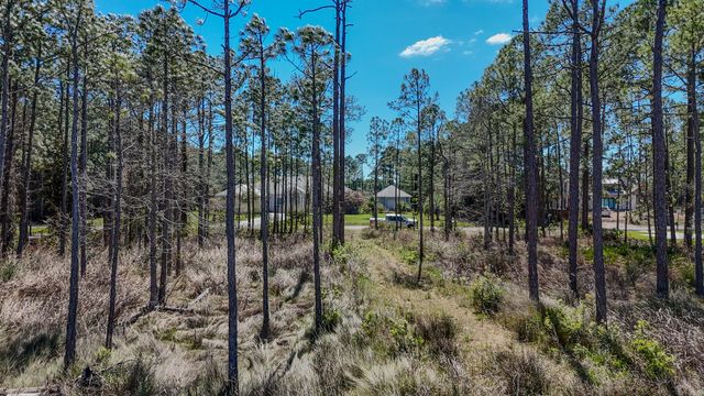 24 Woodland Bayou Drive, Santa Rosa Beach, FL 32459