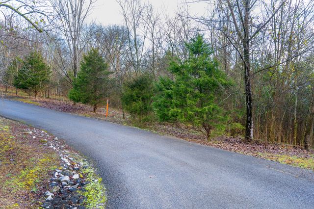 0 Lake Meadow Dr, Smithville, TN 37166