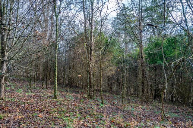 0 Lake Meadow Dr, Smithville, TN 37166