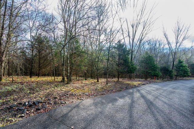 0 Lake Meadow Dr, Smithville, TN 37166