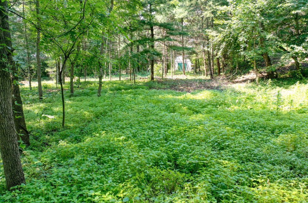 TBD 219th Street N, Forest Lake, MN 55025 — exterior