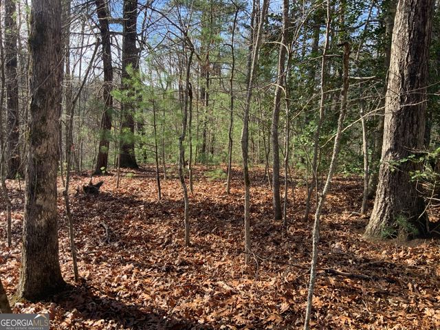 0 FIGHTINGTOWN CREEK, Mccaysville, GA 30555