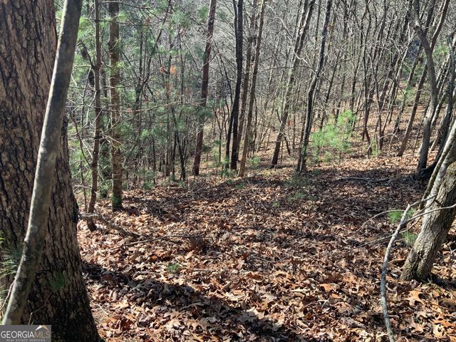 0 FIGHTINGTOWN CREEK, Mccaysville, GA 30555