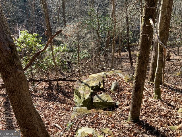 0 FIGHTINGTOWN CREEK, Mccaysville, GA 30555