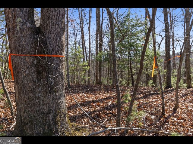 0 FIGHTINGTOWN CREEK, Mccaysville, GA 30555
