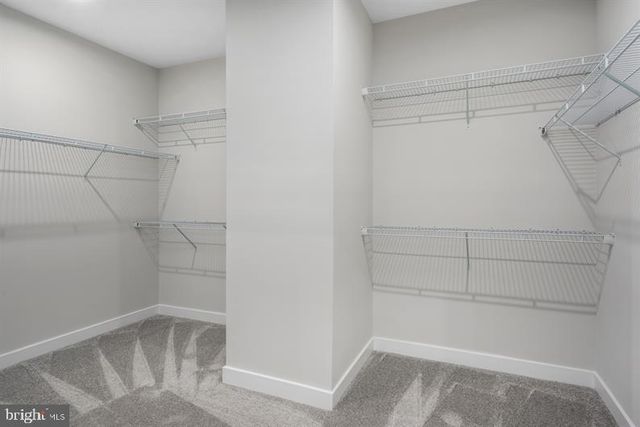 4427 DAISY REID AVE, Woodbridge, VA 22192