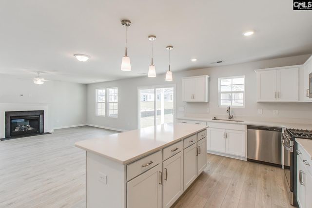 338 Bangalore Way, Gilbert, SC 29054