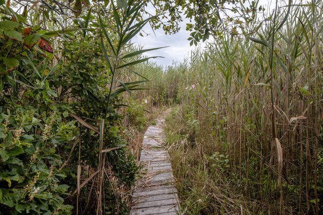 0 Neds Point Rd Lot 104, Mattapoisett, MA 02739