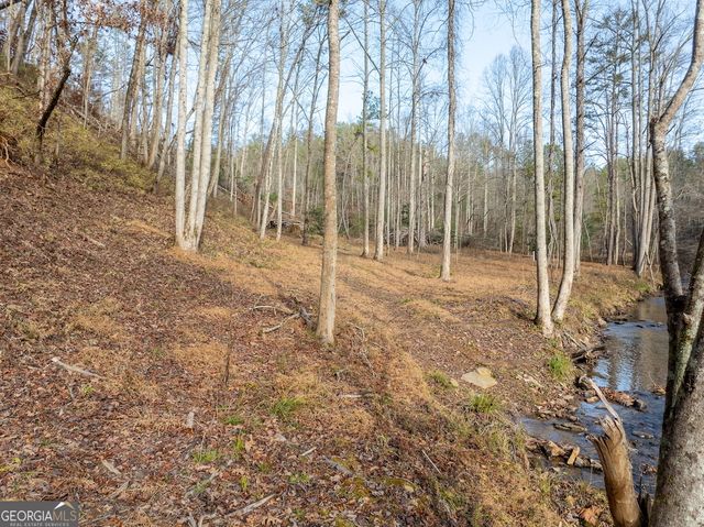 780 Banks Road, Ellijay, GA 30540