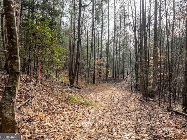 780 Banks Road, Ellijay, GA 30540