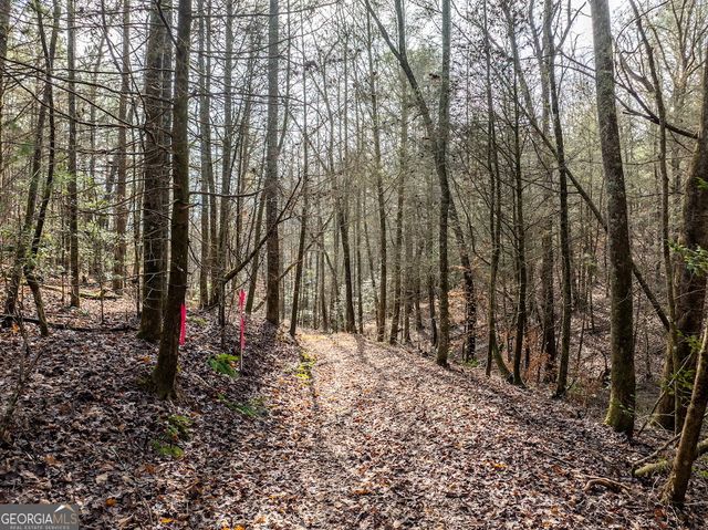 780 Banks Road, Ellijay, GA 30540