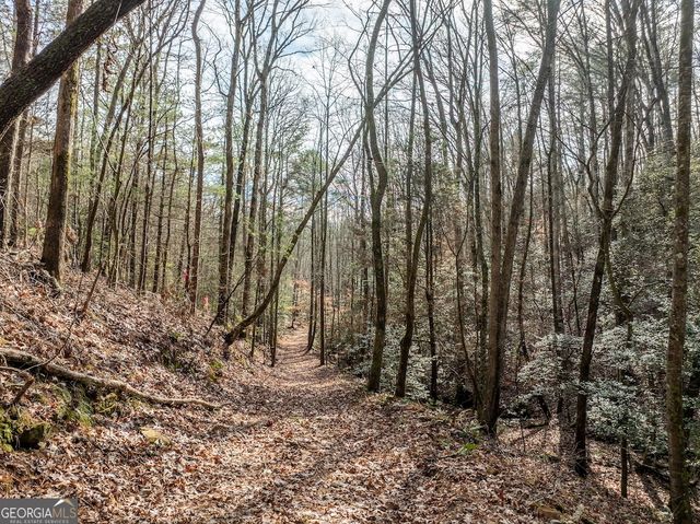 780 Banks Road, Ellijay, GA 30540